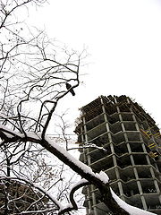 фото "Апофеоз серости. Часть 2."