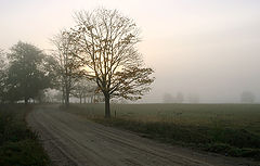 фото "... colder"
