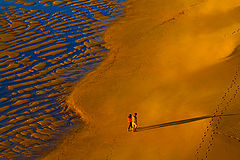 photo "Walking on gold"