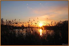 photo "***"