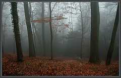 photo "***"
