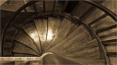 photo "Ladder"
