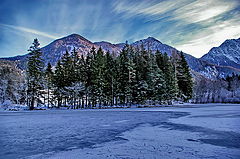 photo "Winter"