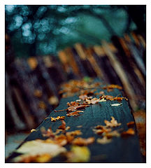 photo "***"