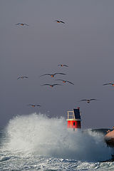 photo "Monster waves"