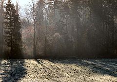 photo "Winter light"