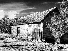 photo "On mountain Vidojevica"