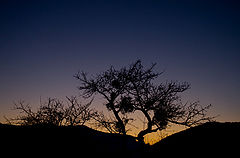 photo "wintersunset"