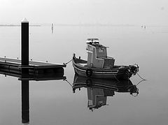 фото "Mirror"