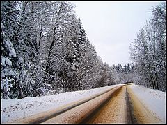 фото "как Хроники Нарнии..."