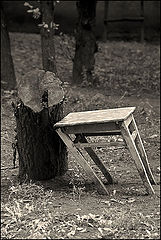 photo "Relatives"