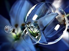 photo "Blue blue blues ( Catalin thanx)"