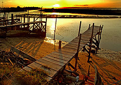 фото "Samouco"