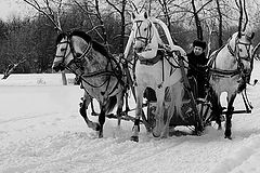 фото "тройка"