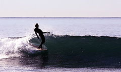 photo "morning surfer"