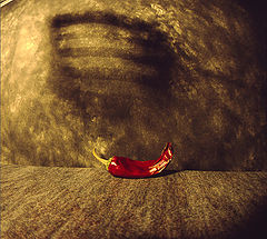photo "олег каплан"