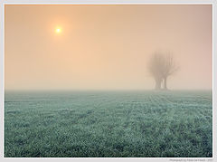 фото "Frozen and misty"