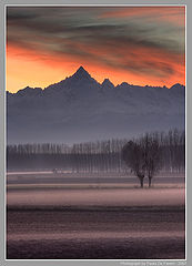 фото "A misty array of colours and patterns."