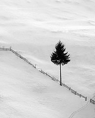 photo "Winter"