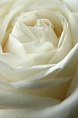photo "***"