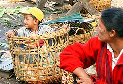 photo "boy in the basket"