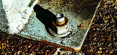 photo "Techno"