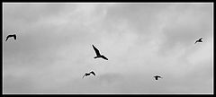 фото "dance"