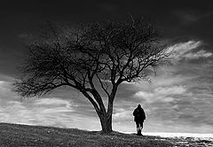 photo "Long way to home"