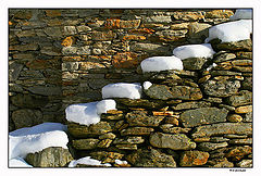 photo "winter"