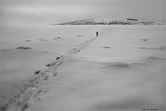 photo "Winter road"