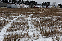 photo "A short cut"