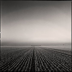 photo "***"