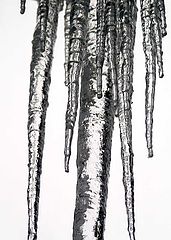 photo "Ice"