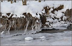 фото "Жажда"