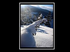 фото "winter"