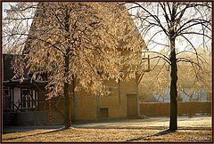 фото "sunny winter day"