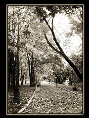 фото "Осень"