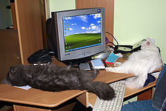 photo "my workplace ^)"
