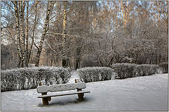 photo "Early morning in park"