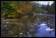 photo "Fall Reflections"