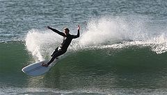 photo "cutback"