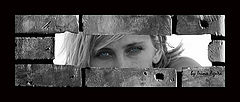 фото "Не спорь с инстинктом!"
