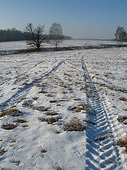 фото "Зимой снега не выпросить..."