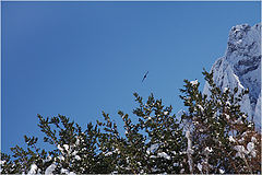 фото "Dombai"