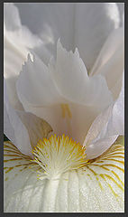 photo "***"