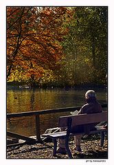 photo "park bench"