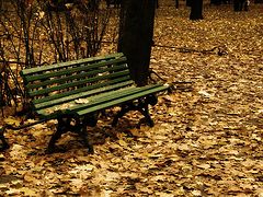 photo "***"