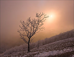 photo "***"