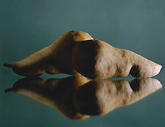 photo "олег каплан"