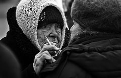 фото "Старые подруги"